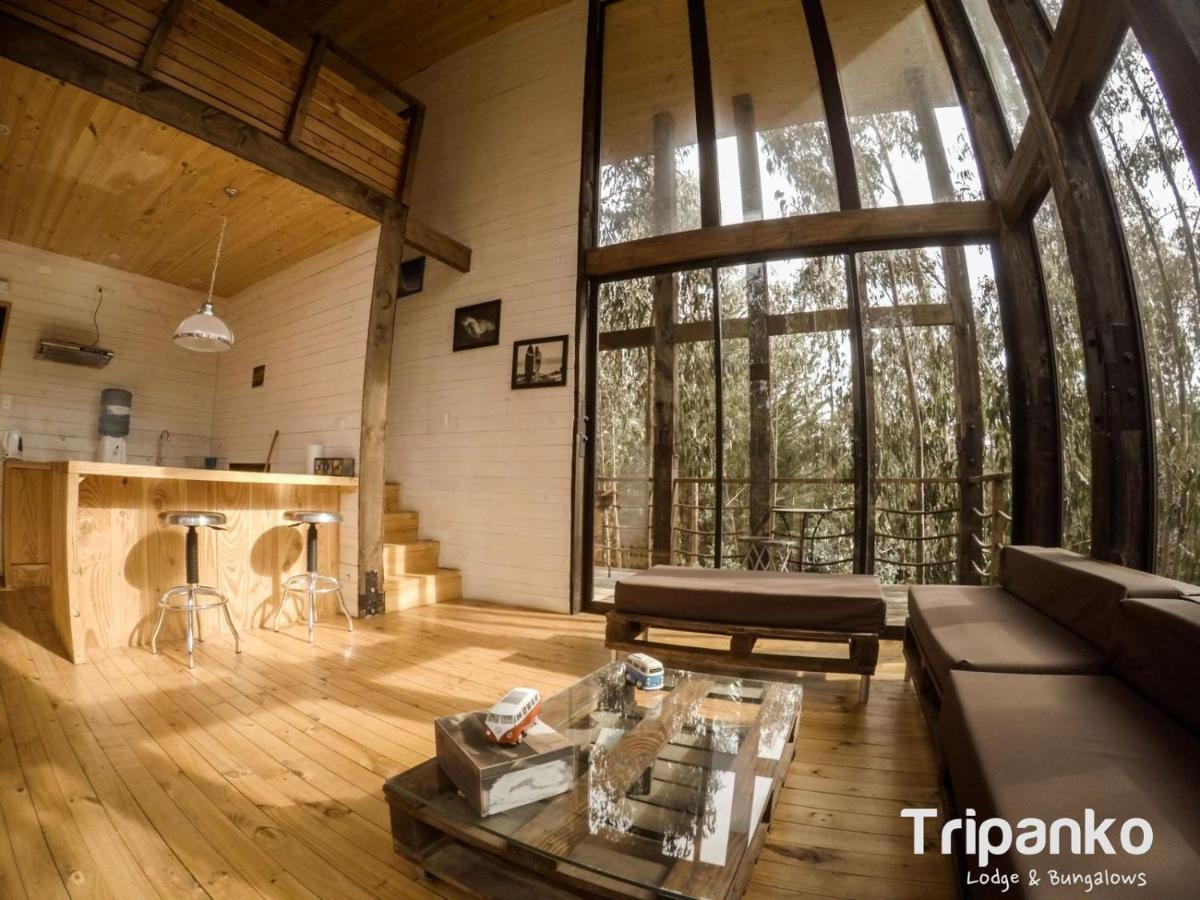 Tripanko Lodge & Bungalows Pichilemu Εξωτερικό φωτογραφία