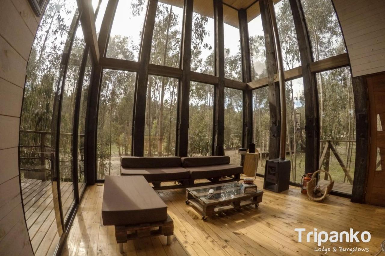 Tripanko Lodge & Bungalows Pichilemu Εξωτερικό φωτογραφία