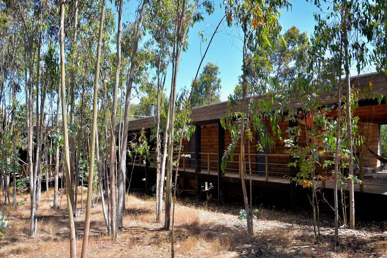 Tripanko Lodge & Bungalows Pichilemu Εξωτερικό φωτογραφία