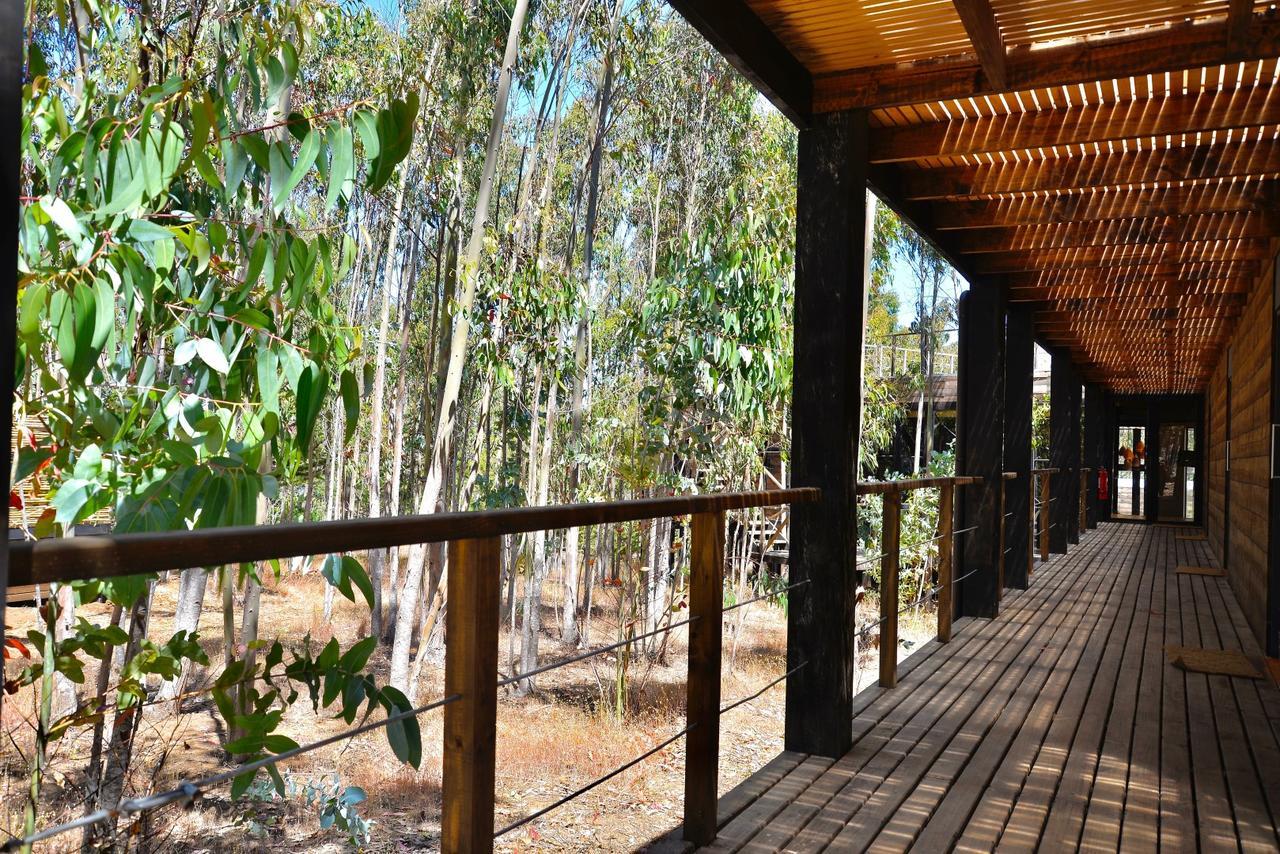 Tripanko Lodge & Bungalows Pichilemu Εξωτερικό φωτογραφία