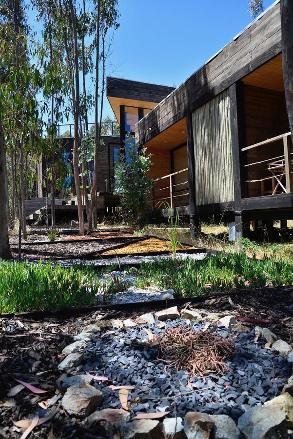 Tripanko Lodge & Bungalows Pichilemu Εξωτερικό φωτογραφία