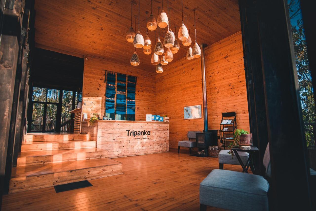Tripanko Lodge & Bungalows Pichilemu Εξωτερικό φωτογραφία